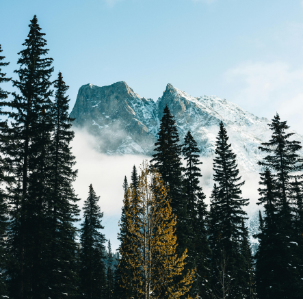 Foto di Ricardo Gomez Angel su Unsplash